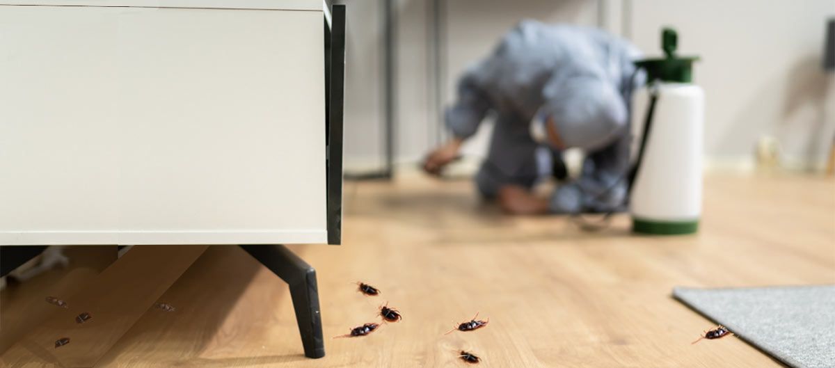 Killing roaches as part of pest control jobs in the US